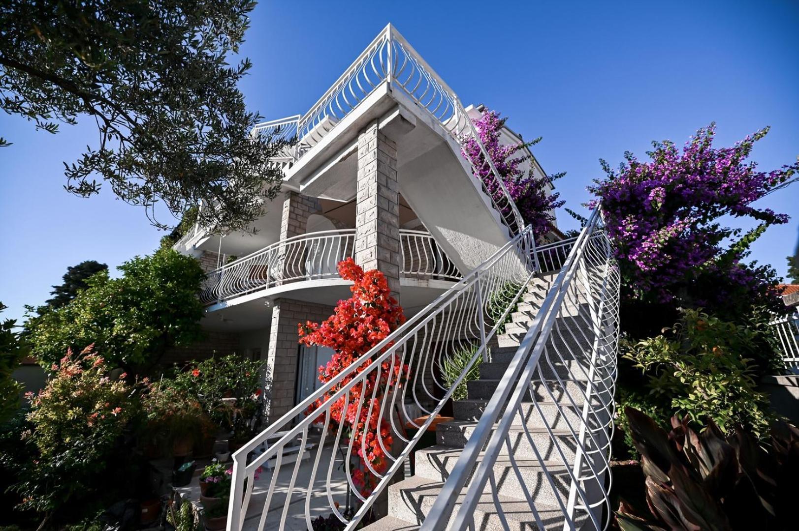 Apartment Rajna Biograd Na Moru Zewnętrze zdjęcie