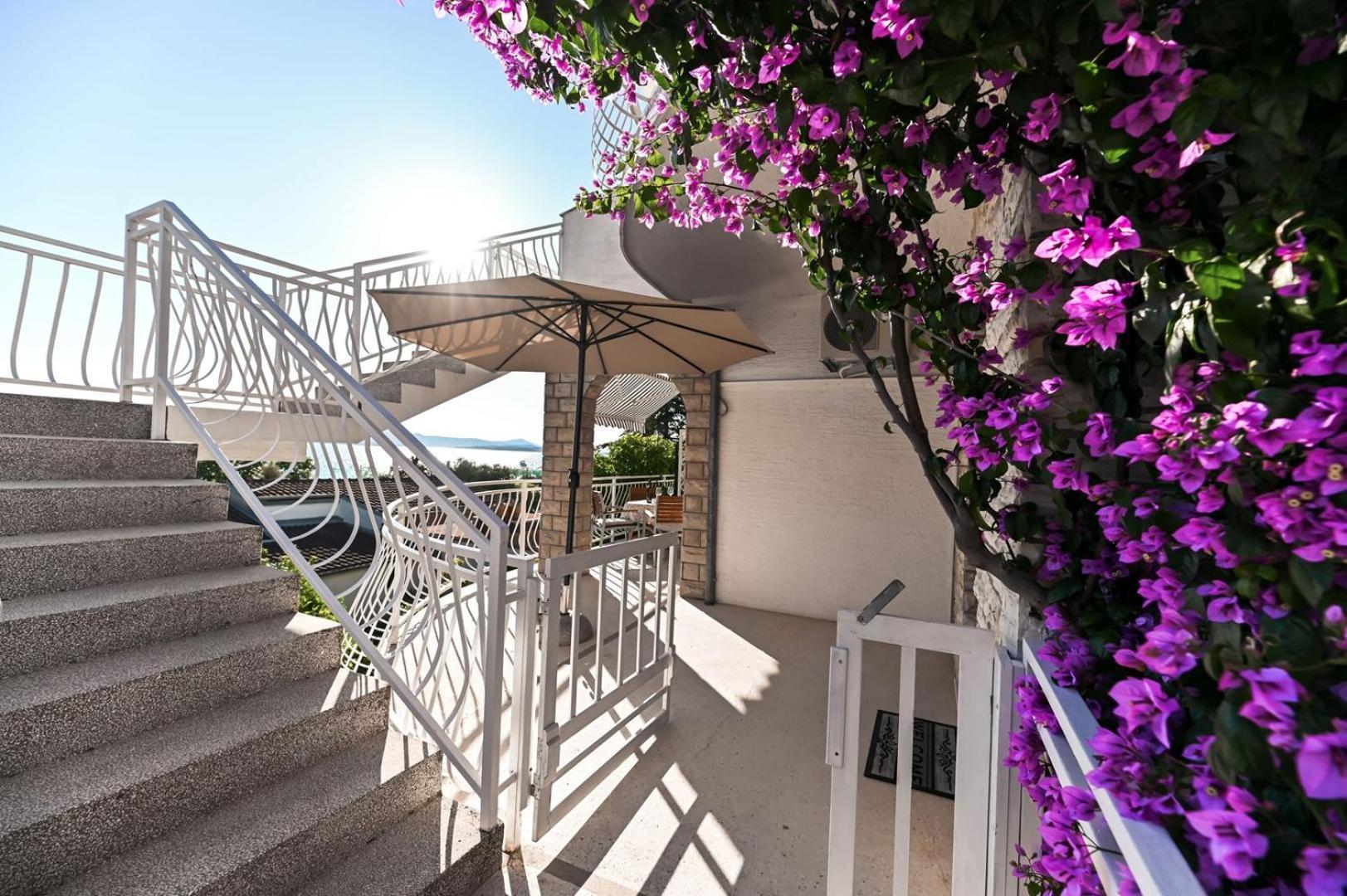 Apartment Rajna Biograd Na Moru Zewnętrze zdjęcie